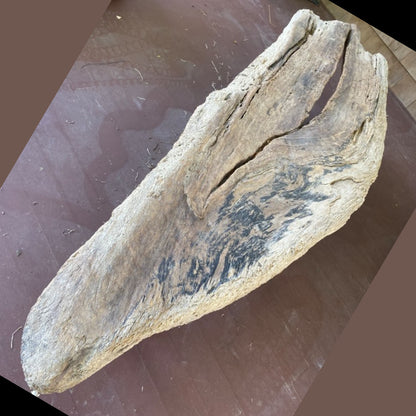 Long raw driftwood with a half way split in the middle